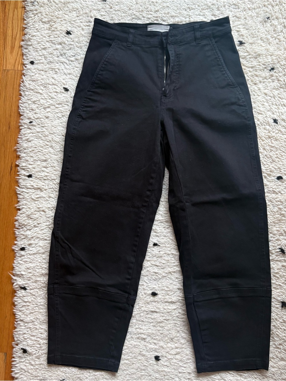 Everlane Black Barrel Pants